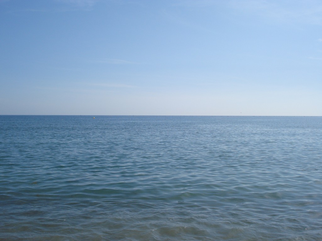 DSC05135