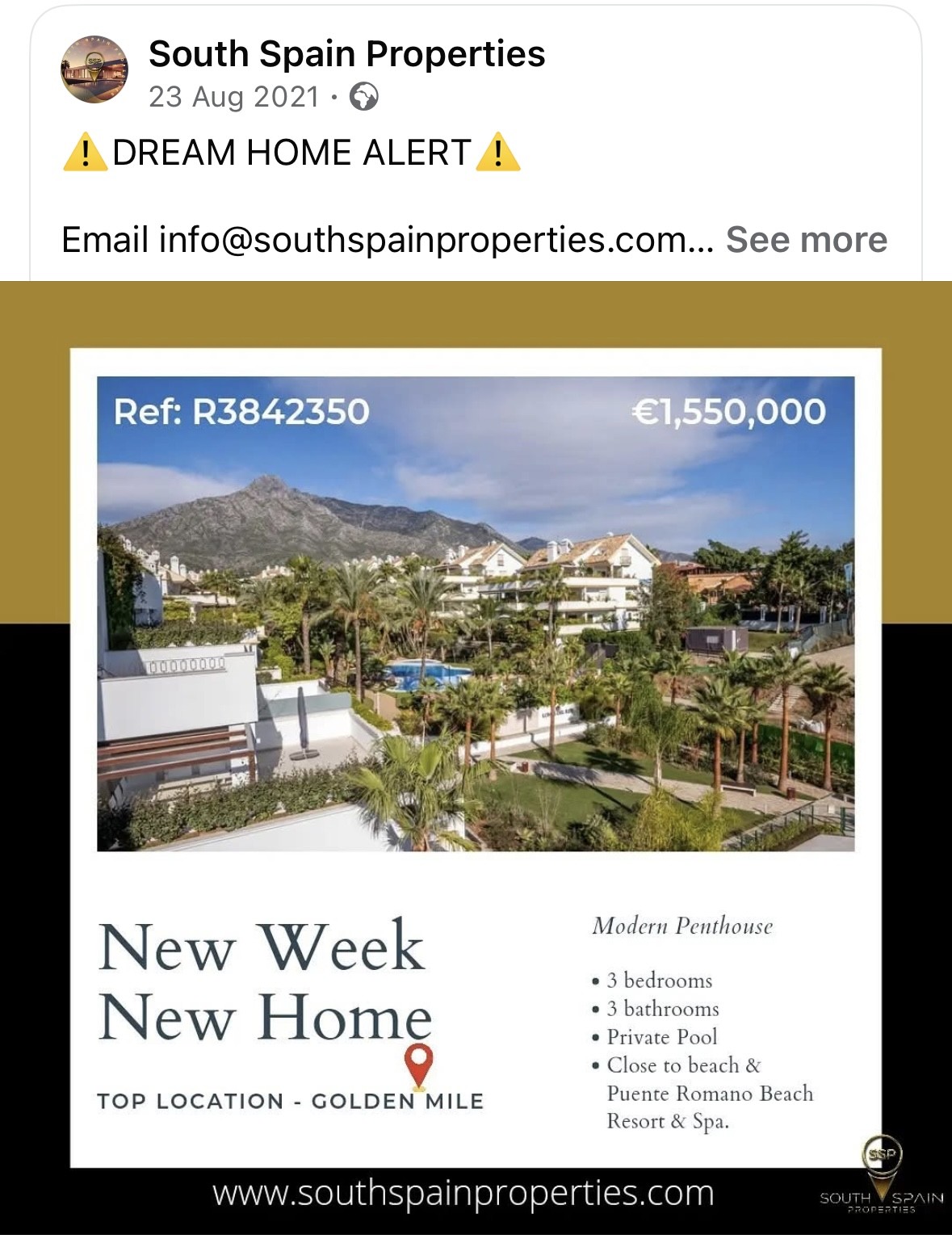 marbella property market